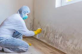 Best Forensic Mold Investigation in Kapolei, HI